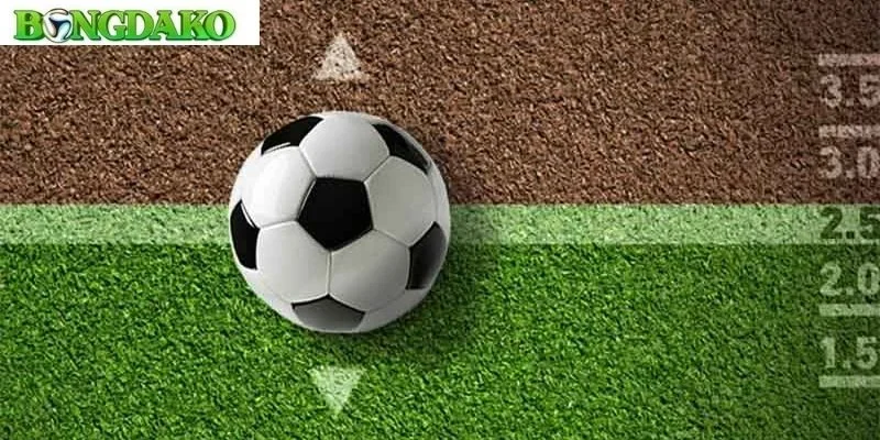 Cách đọc kèo bóng đá chính xác