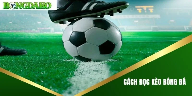 cách đọc kèo bóng đá