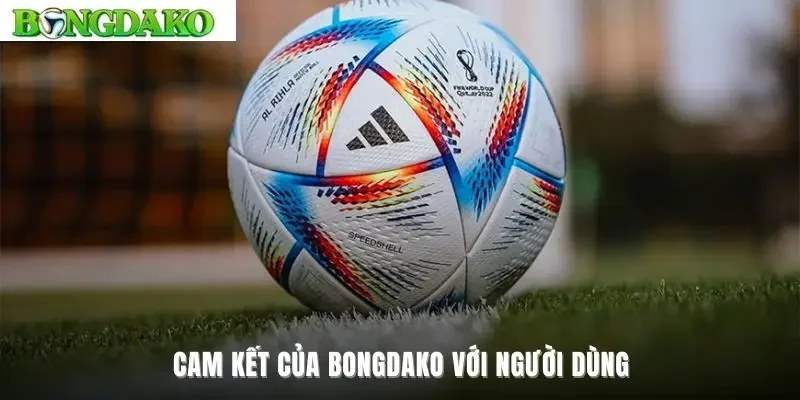 Cam kết của Bongdako với người dùng