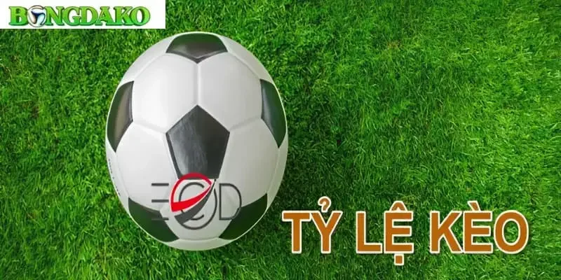 Khám phá đôi nét về tỷ lệ kèo là gì cho tân binh mới
