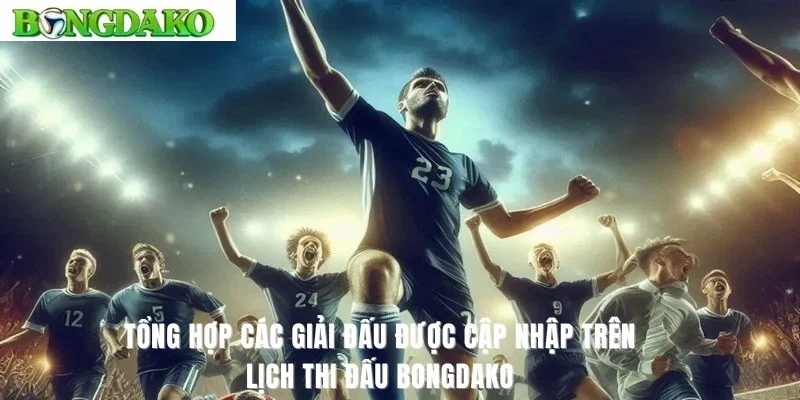 Lịch đấu Champions League được cập nhập liên tục tại nền tảng